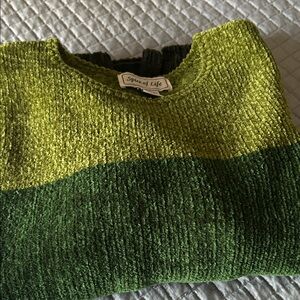 Spice of Life Green Sweater